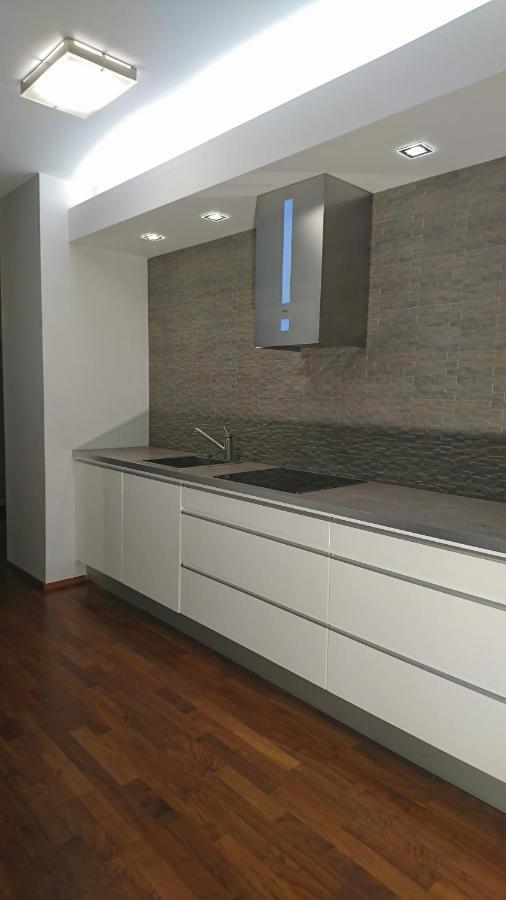 Quiet And Spacious Apartment With Garage Option كراكوفيا المظهر الخارجي الصورة